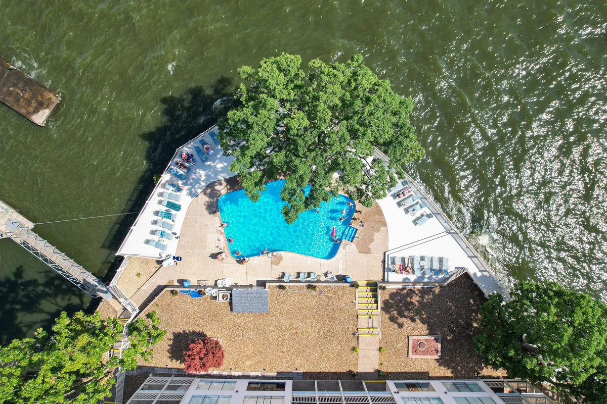 A serene exterior scene featuring a sparkling swimming pool surrounded by lounge chairs, a dock that stretches out to the water, and lush greenery. The atmosphere is peaceful yet ideal for social gatherings, sunset views, and lakeside meals.